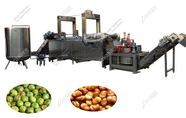 Groundnut Fryer Equipment